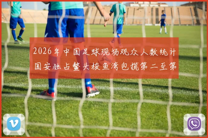2026年中国足球现场观众人数统计国安独占鳌头梭鱼湾包揽第二至第七位
